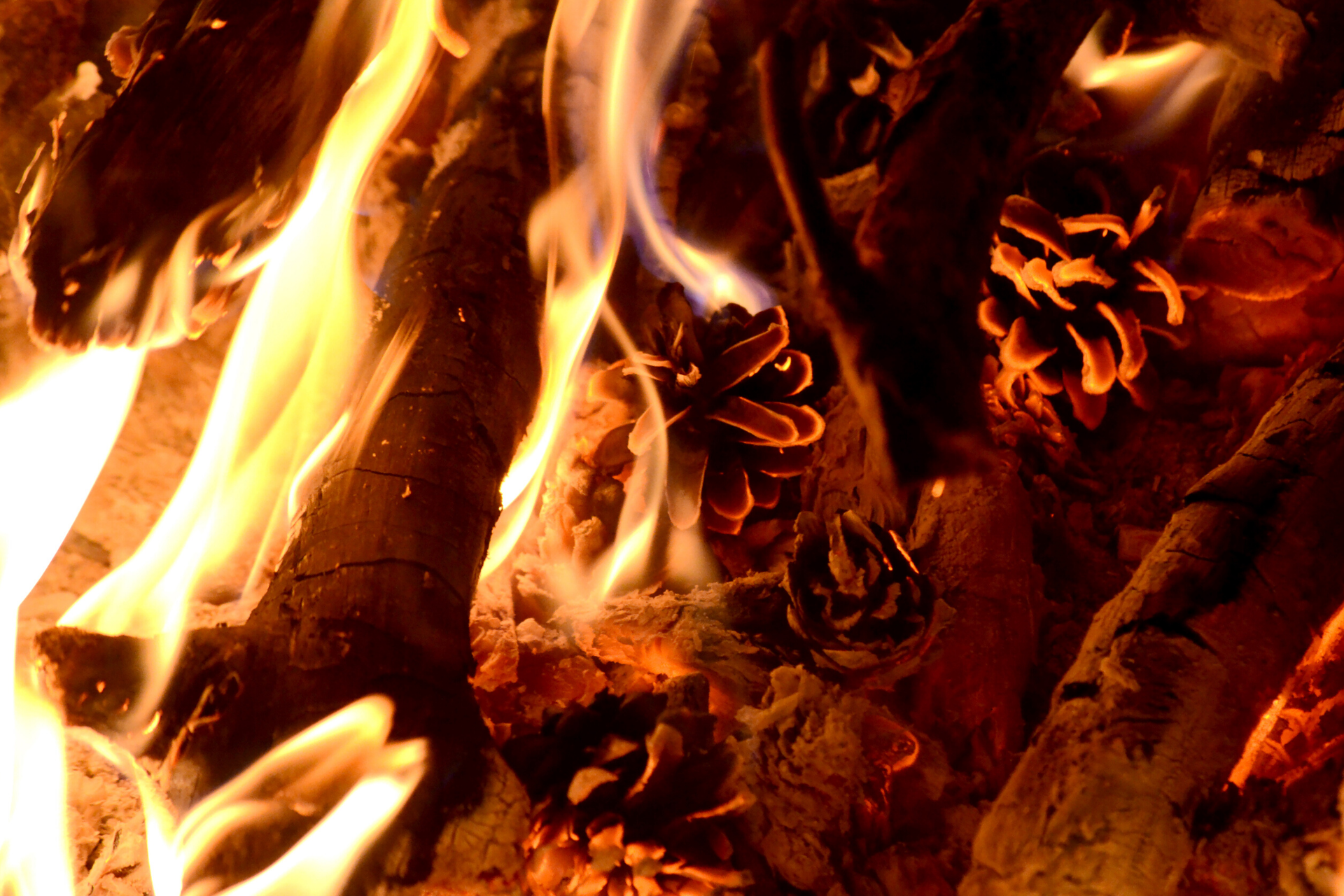 BURN THE SEEDS OF KARMA