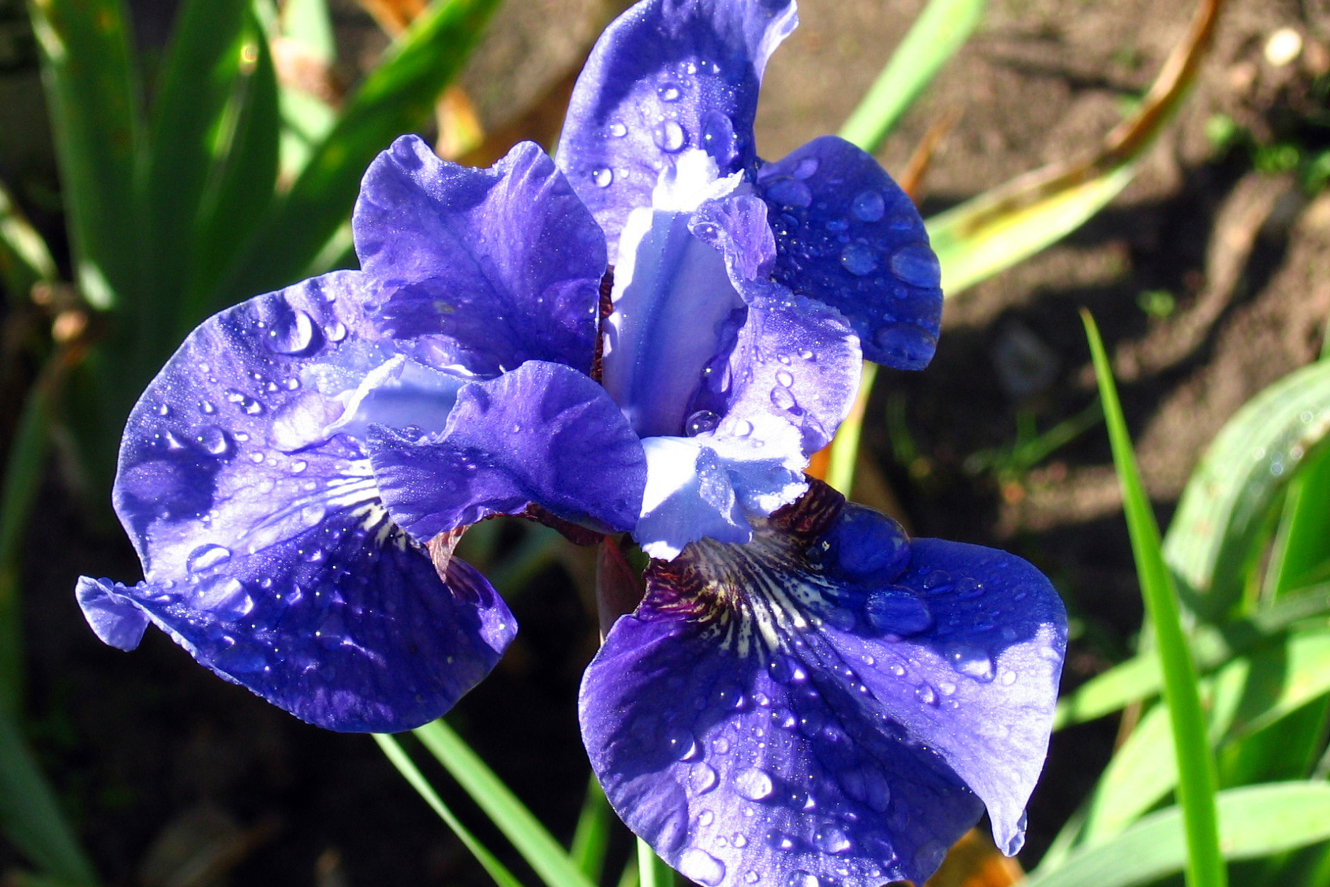 HOW TO DEAL WITH THE EGO?