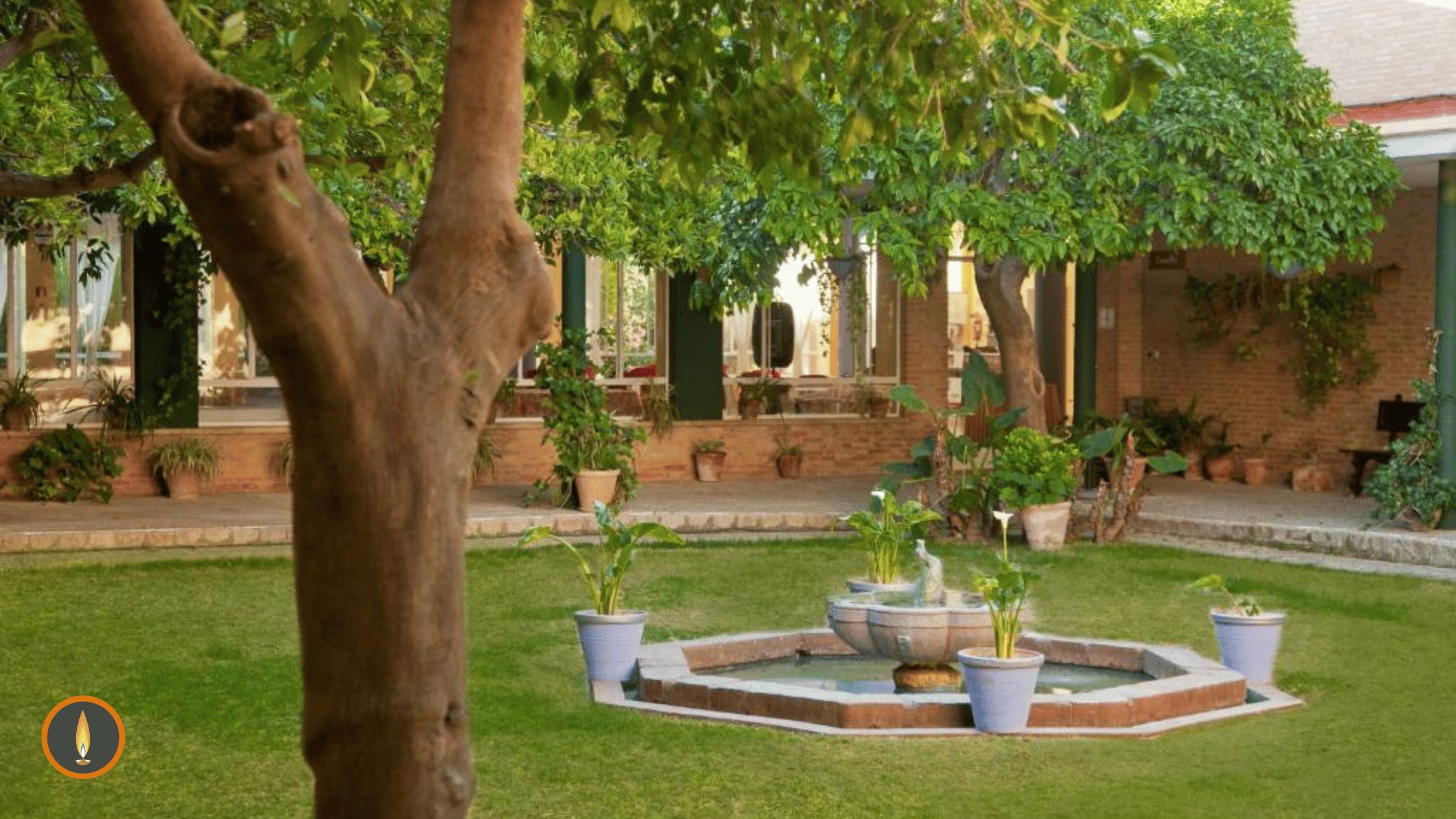 FISU Meditation's Retreat at Lantana Garden, Seville