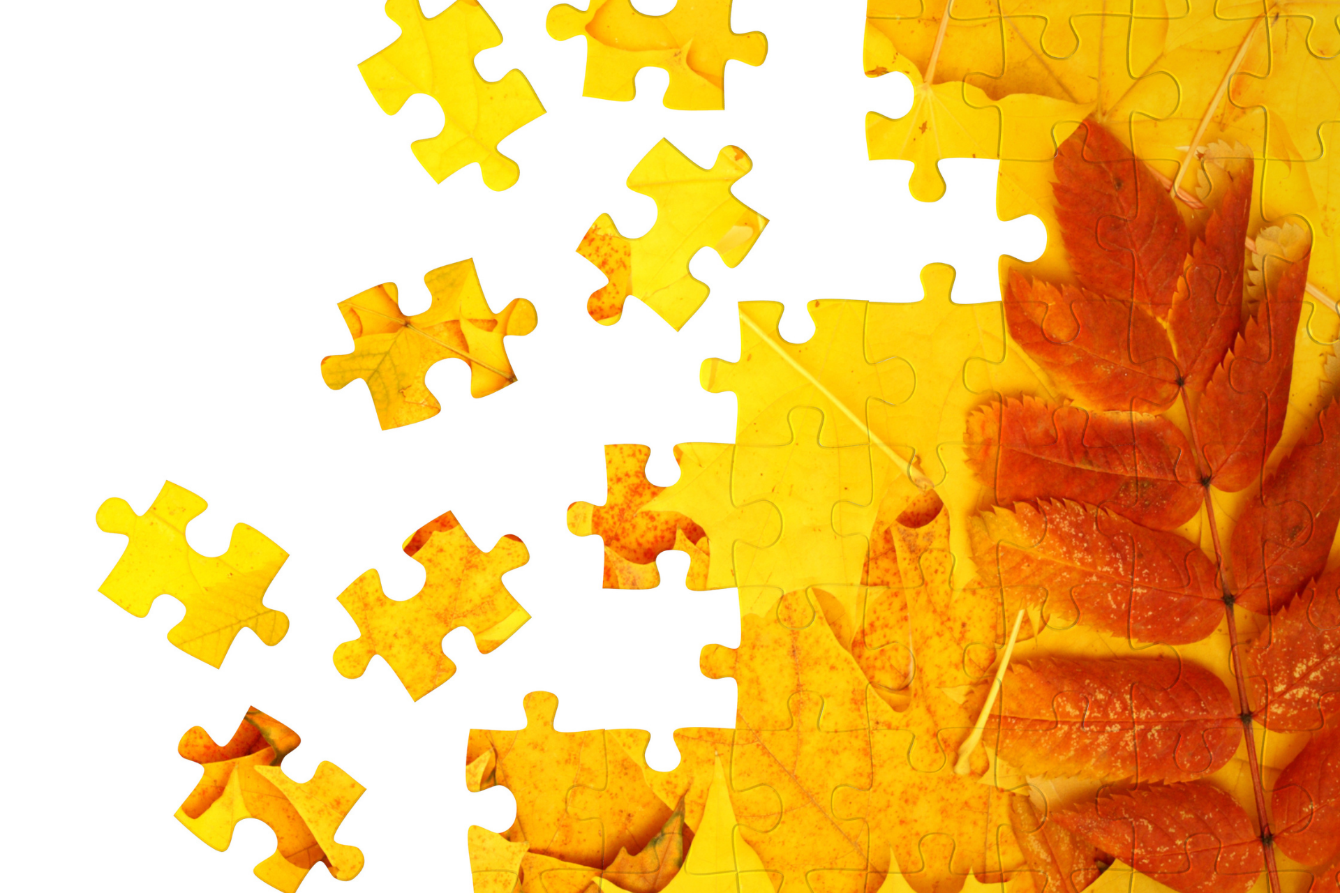 HOW TO FIND ANSWERS TO QUESTIONS