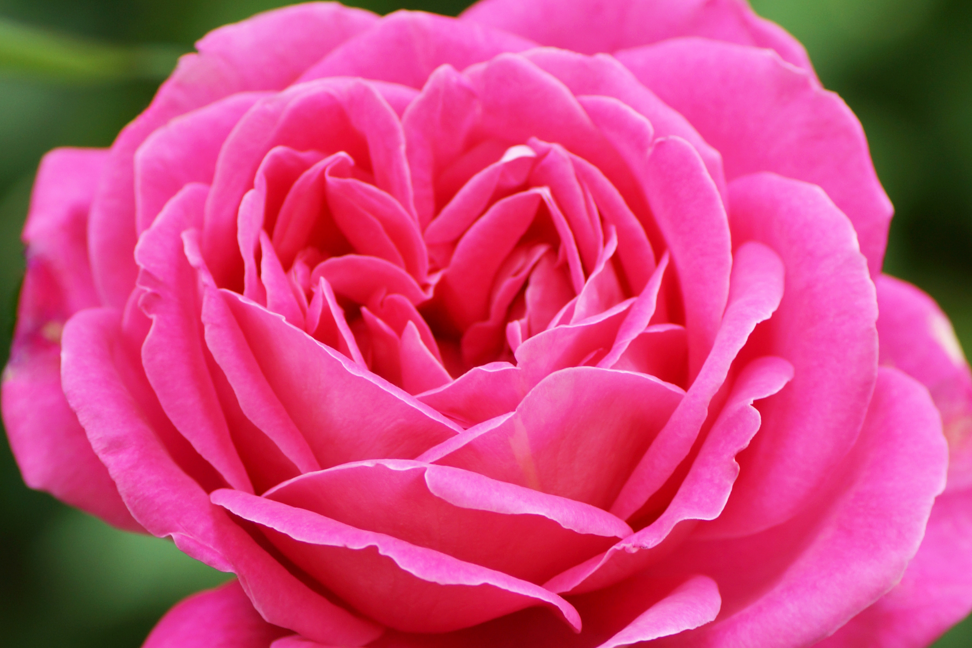 UNFOLDING THE SPIRITUAL SELF