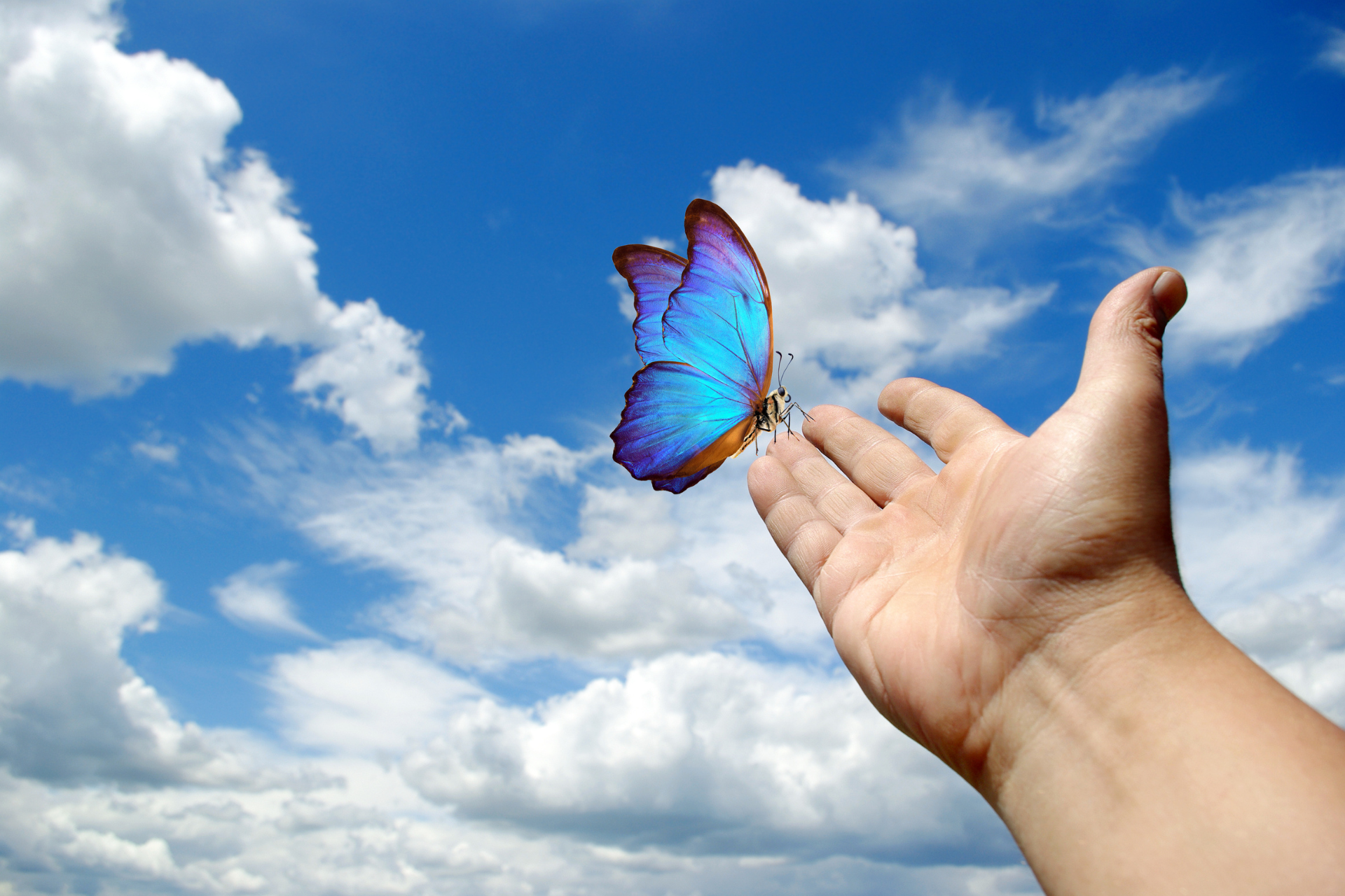 LIFE AND DEATH ARE ETERNAL